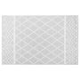 5’x7’ Silver Grey Diamond Indoor Outdoor Rug