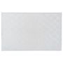 5’x7’ Silver Grey Line Pattern Indoor Outdoor Rug