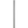 CanExel Batten 8 Piece Bundle 2.25"x3/8"x12'