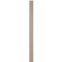 CanExel Batten 8 Piece Bundle 2.25"x3/8"x12'