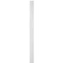 CanExel Batten 8 Piece Bundle 2.25"x3/8"x12'