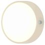 BAZZ Rechargeable Motion Sensor Ceiling Light