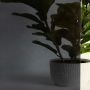 Écran de confidentialité décoratif 24" x 74" noir