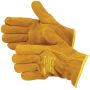 Driver Winter Luxe Leather Gloves
