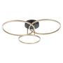 Boyal Ceiling Light