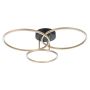 Boyal Ceiling Light