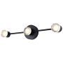 Vanya 3-Light Vanity Fixture