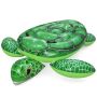 Bouée Tortue