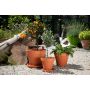 Pot en Terre Cuite 4,25"