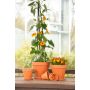 Pot en Terre Cuite 4,25"