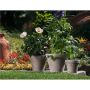 Pot Basalt Terre Cuite 4,5"