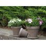 Pot Basalt Terre Cuite 4,5"