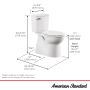 Aspirations 1.28 gpf Concealed Toilet