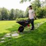 Garant Premium Wheelbarrow with Pour Spout 5 CuFt