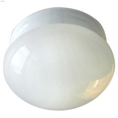 1 Light A 60 Watt White Flushmount Light