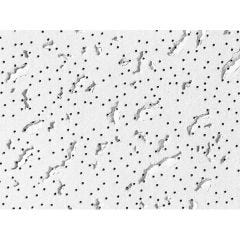 Fissured 585 Basic Panel 2' x 2' x 5/8"-16/Box