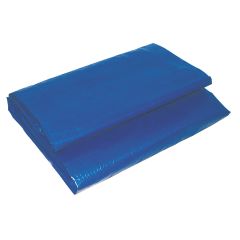 10' x 12' Blue Economy Tarp