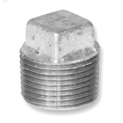 2\" Galvanized Malleable Iron Plug