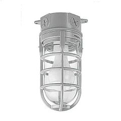 150 Watt Outdoor Metal Cage Light