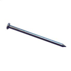 10\" Bright Spike Common Nail