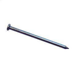 8\" Bright Spike Common Nail