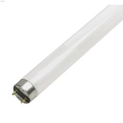 13 Watt Mini Bi-Pin T5 Fluorescent Bulb