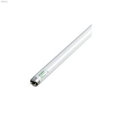 32 Watt G13 Medium Bipin T8 Fluorescent Bulb-2/Pack