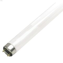 32 Watt Bi-Pin T8 Linear Fluorescent Bulb-12/Pack