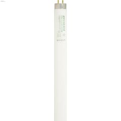 32 Watt Single Pin T8 Fluorescent Bulb-2/Pack