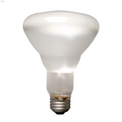 BR30 65W Reflector Halogen Bulb-3/Pack