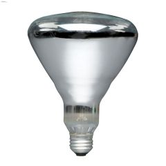 250 Watt E26 Medium BR40 Incandescent Bulb