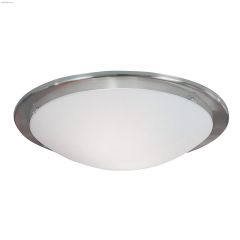Planet 2 Light E26 A19 60 Watt Matte Nickel Luminaire