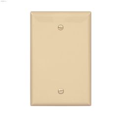 Ivory Polycarbonate Blank Wallplate