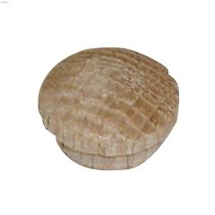 1\/2\" Oak Hardwood Mushroom Cap-20\/Pack