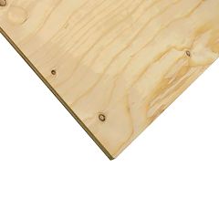 5/8" x 2' x 4' Cut Spruce Select Plywood