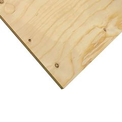 1/2" x 2' x 4' Cut Standard Plywood