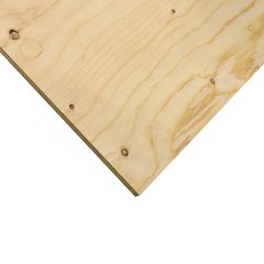 5/8" x 2' x 4' Cut Standard Plywood