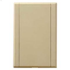 2\" Central Vacuum Ivory Plastic Wall Inlet
