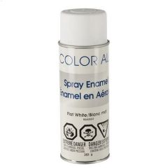 283 g Flat Spray Paint