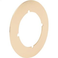 3-1\/2\" x 2-1\/8\" Steel Satin Brass Plated Lock Backplate