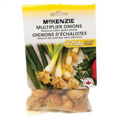 Shallot Bulbs
