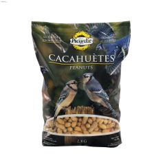 2 kg Peanuts