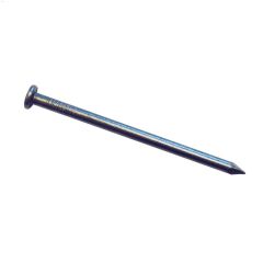 12\" Common Nails