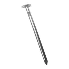 2-1/2" Electro Galvanized Roofing Nail-25 lb