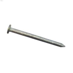 2\" Common Galvanized Nail