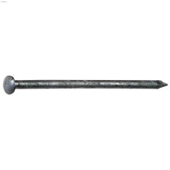2-1\/2\" Oval Head Siding Nails
