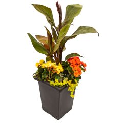 Tall Sloan Planter