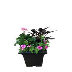 Step Hugger Planter