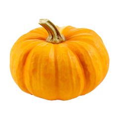 Mini Pumpkin