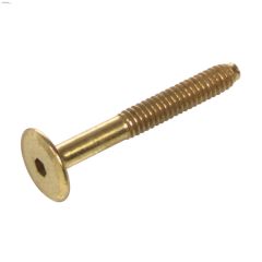 1\/4-20 x 70 mm Polished Brass Connector Bolt